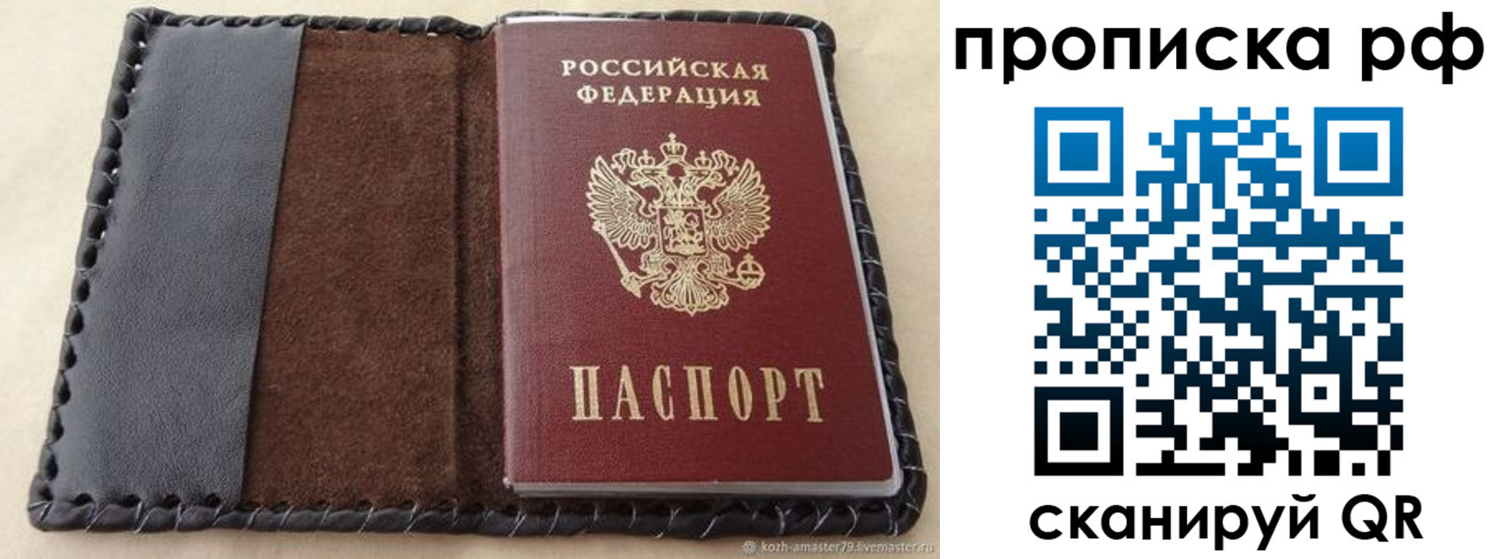 прописка ребенка в Алексеевке